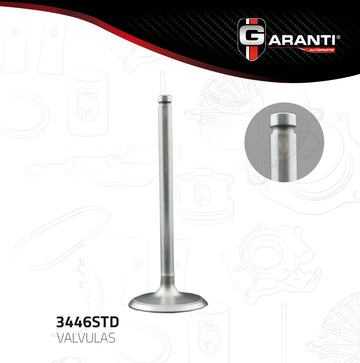 Valvula Admision Garanti 3446STD