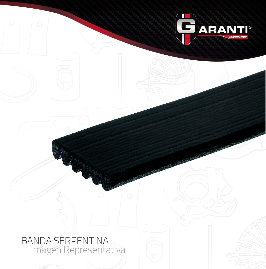 Banda Poly V Garanti 6K1058