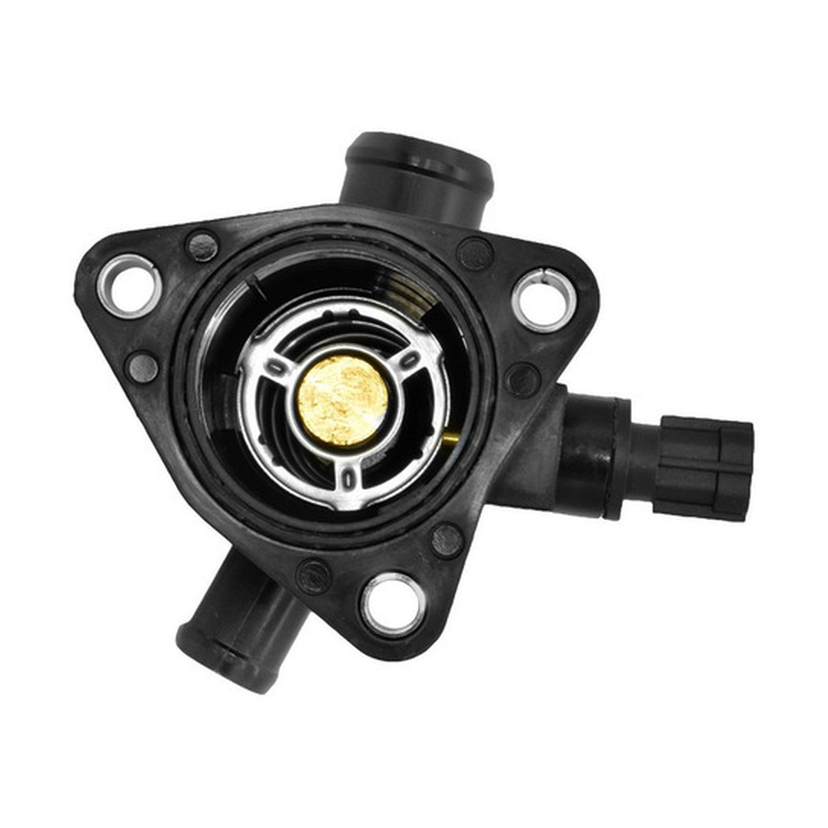 Toma de agua con termostato US Parts 100-010