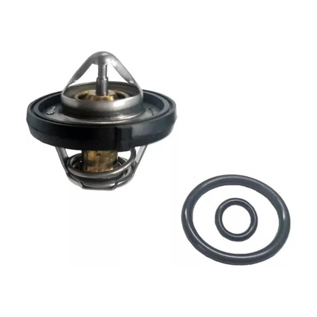 Termostato con toma de agua US Parts 100-022