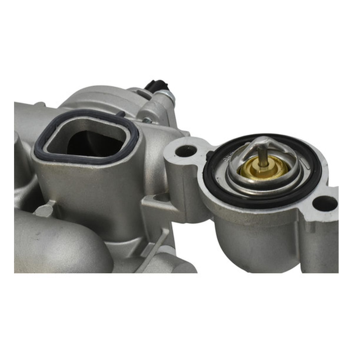 Toma de agua con termostatos y sensor US Parts 100-172