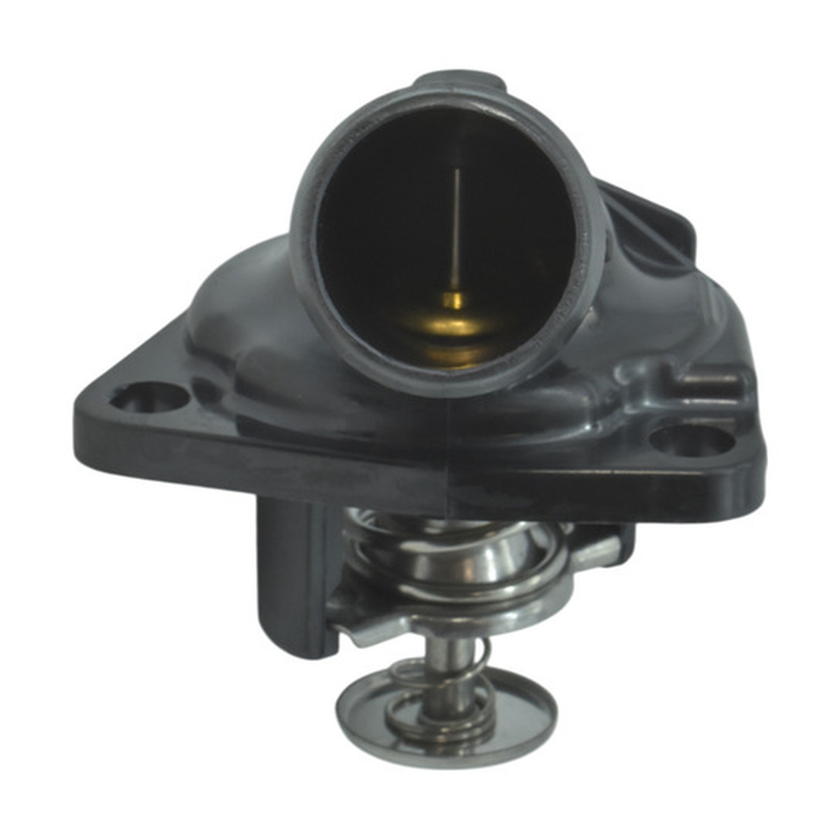 Toma de agua con termostato US Parts 100-176