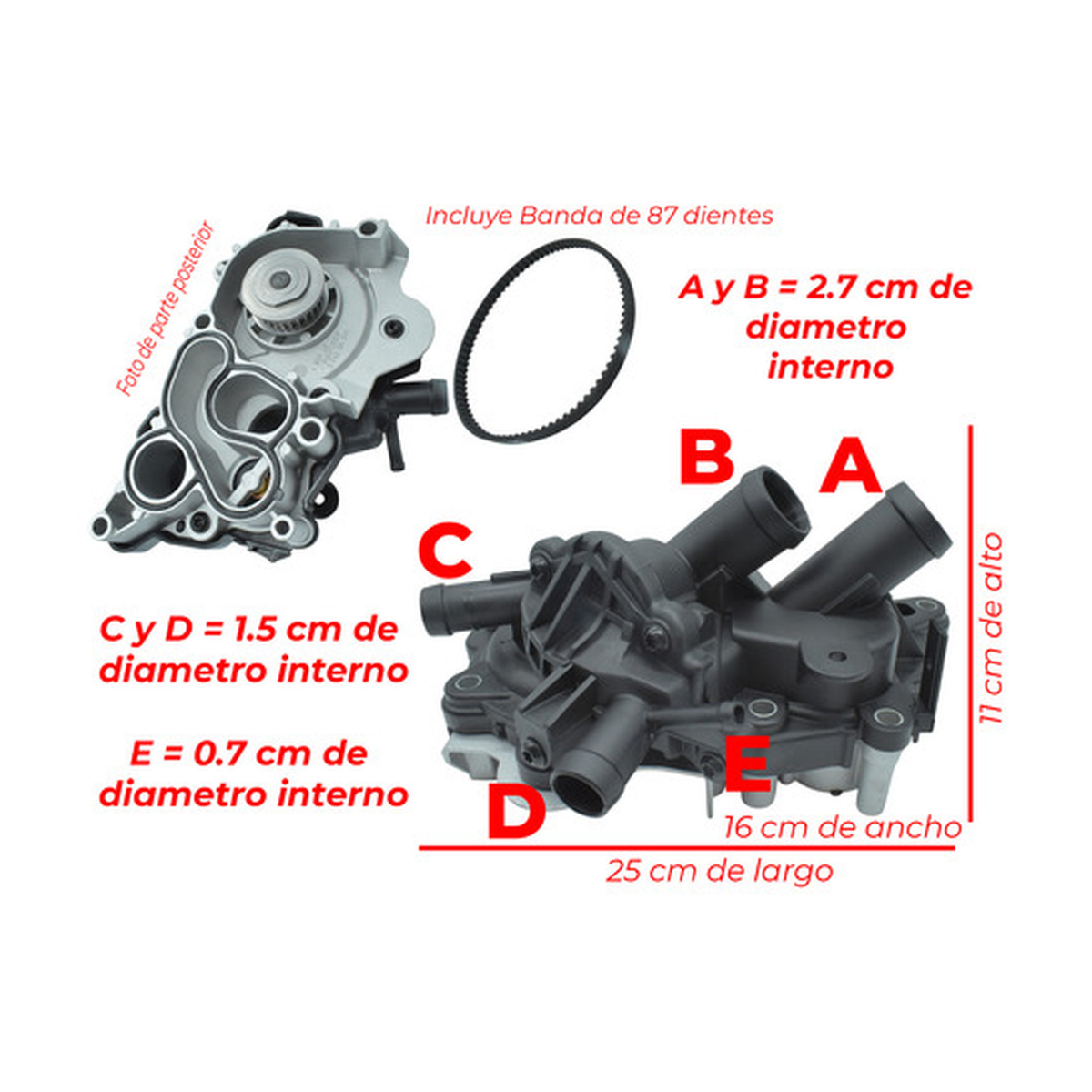 Bomba agua con banda de 87 dientes US Parts 110-002