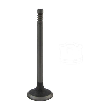 Válvula de escape 2149STD (GARANTI)