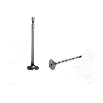 Válvula de admisión 7107STD (GARANTI)
