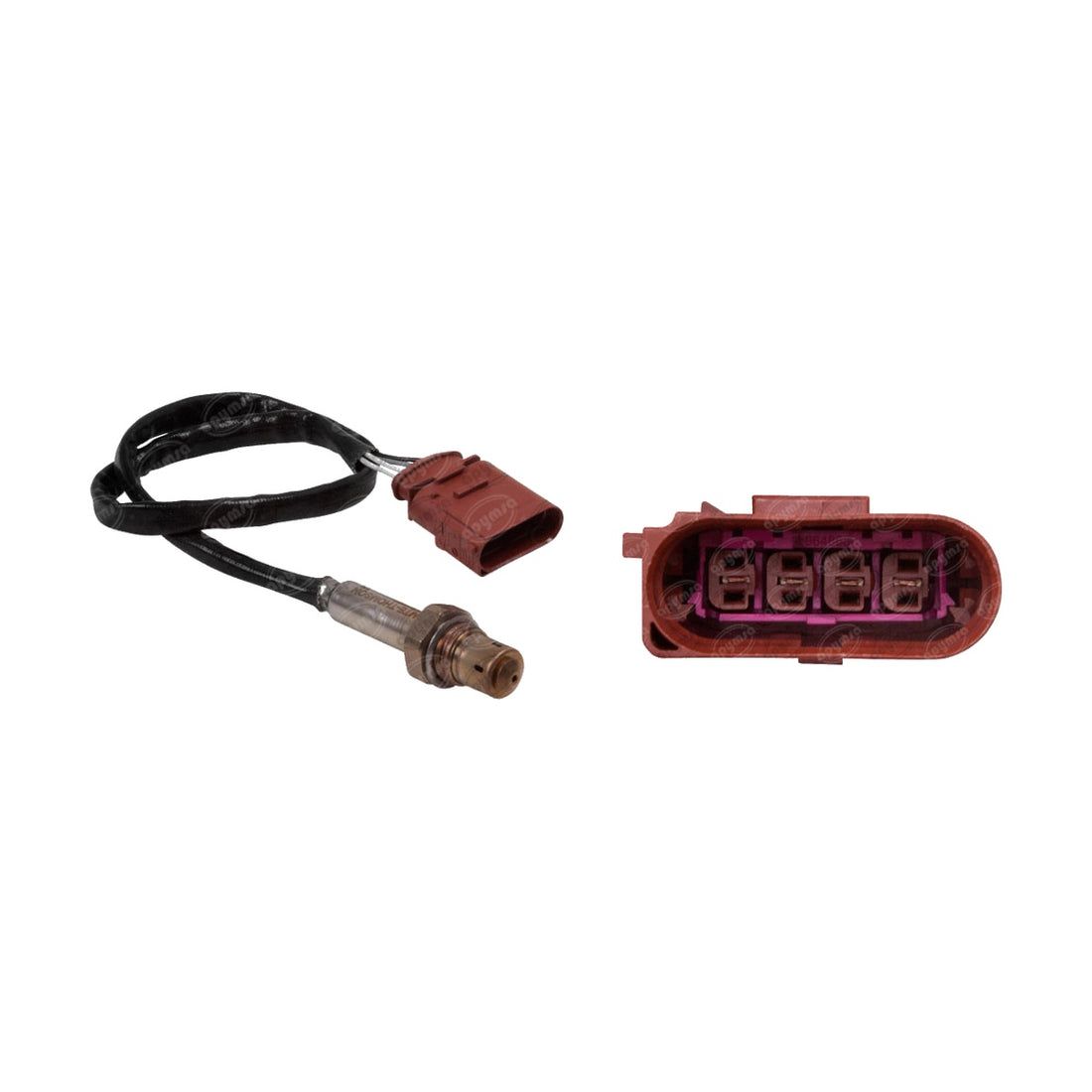Sensor de oxígeno 8876.40.058-MTE MTE THOMSON