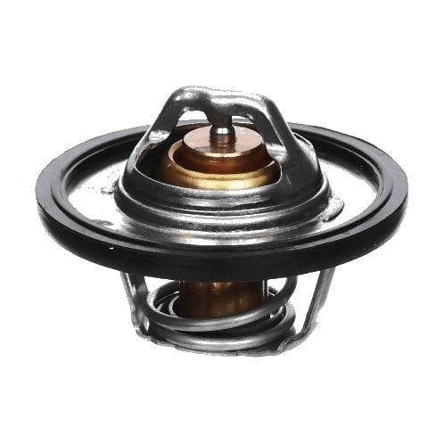 Termostato GT212306N200 GARANTI