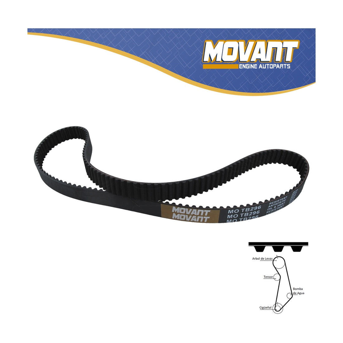 Bandas de tiempo MOTB296 MOVANT