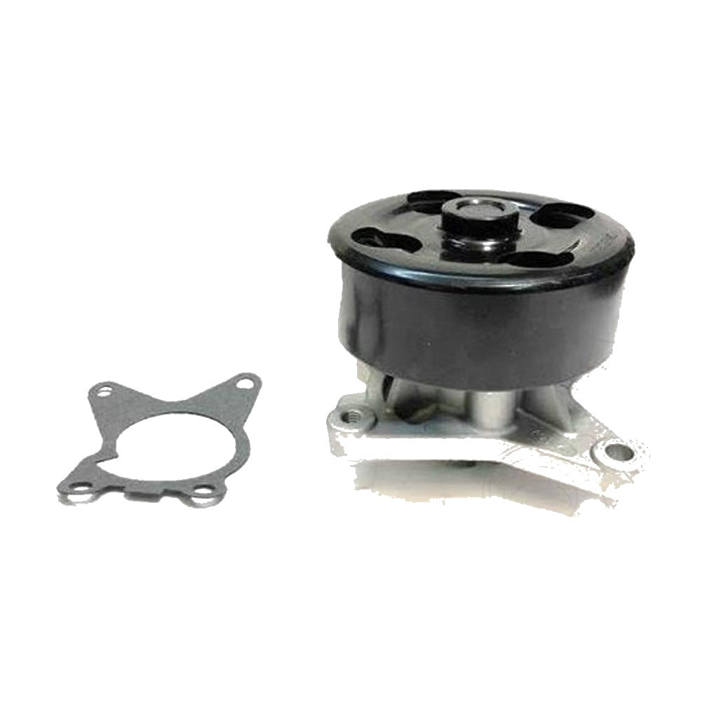 Bomba de agua P-2118 GARANTI