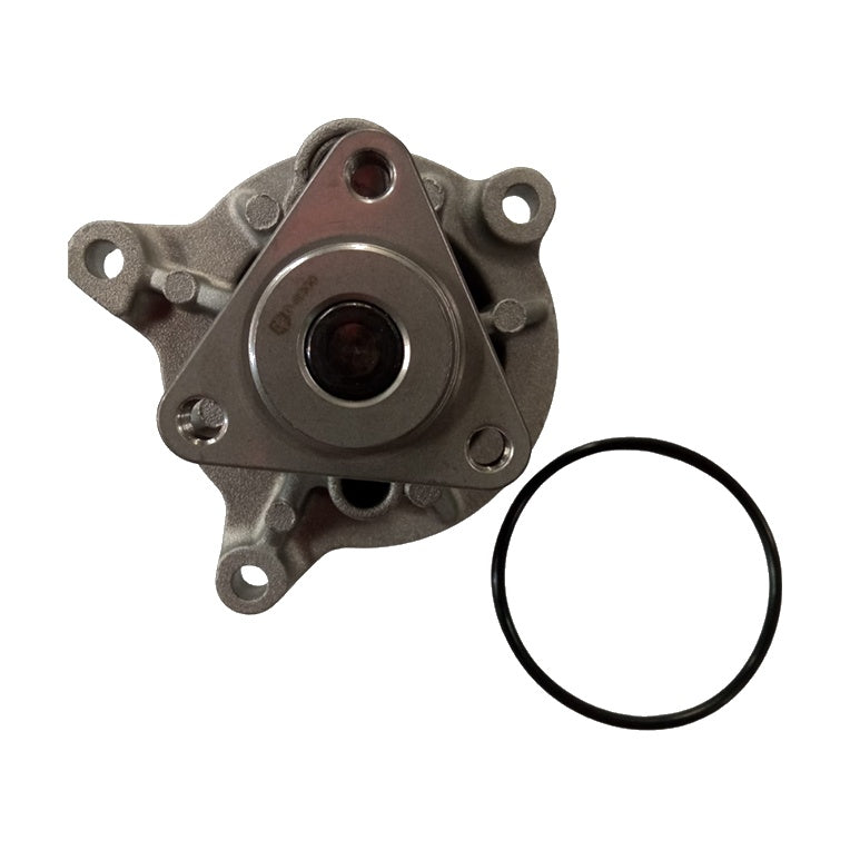 Bomba de agua P-8200 GARANTI