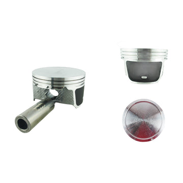 Pistones P1025-040 (GARANTI)