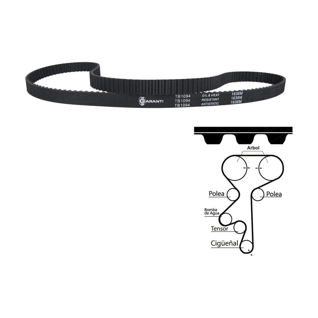 Bandas de tiempo TB1094 GARANTI