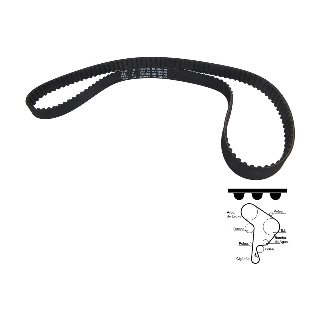 Bandas de tiempo TB301 GARANTI