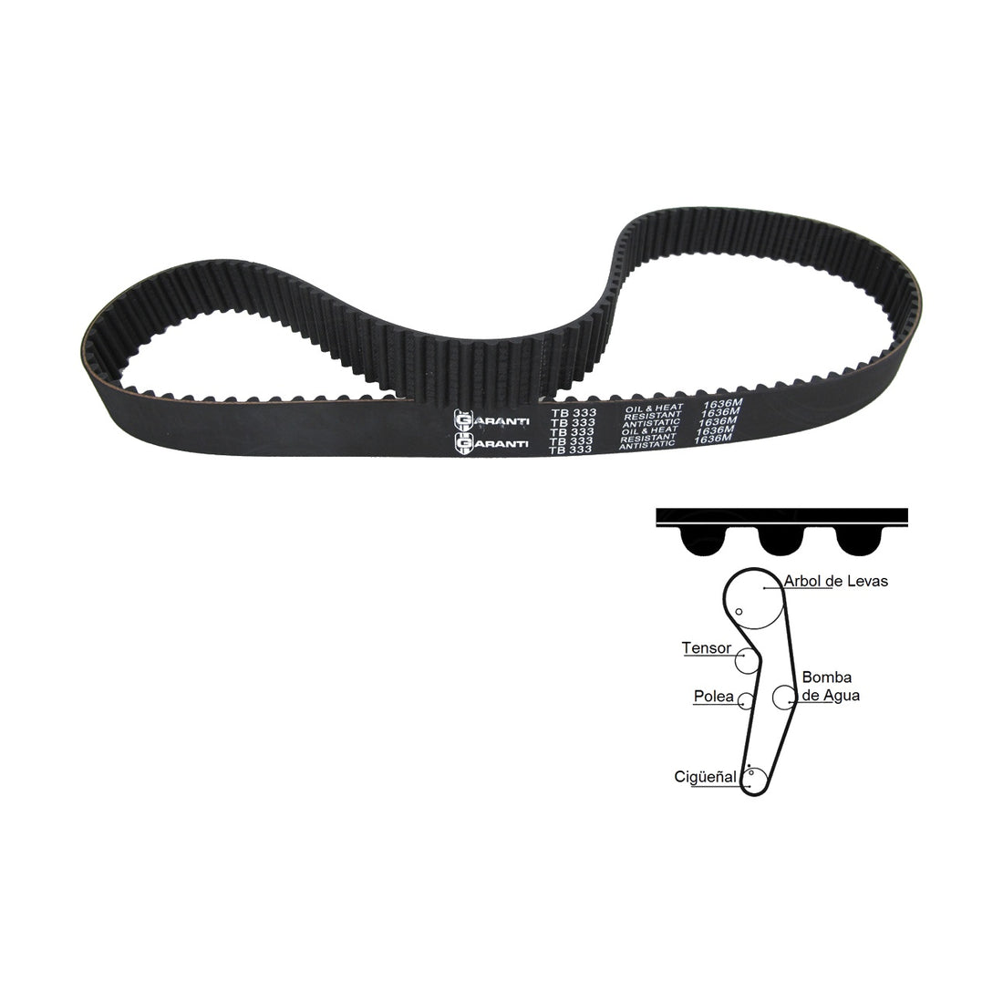 Bandas de tiempo TB333 GARANTI