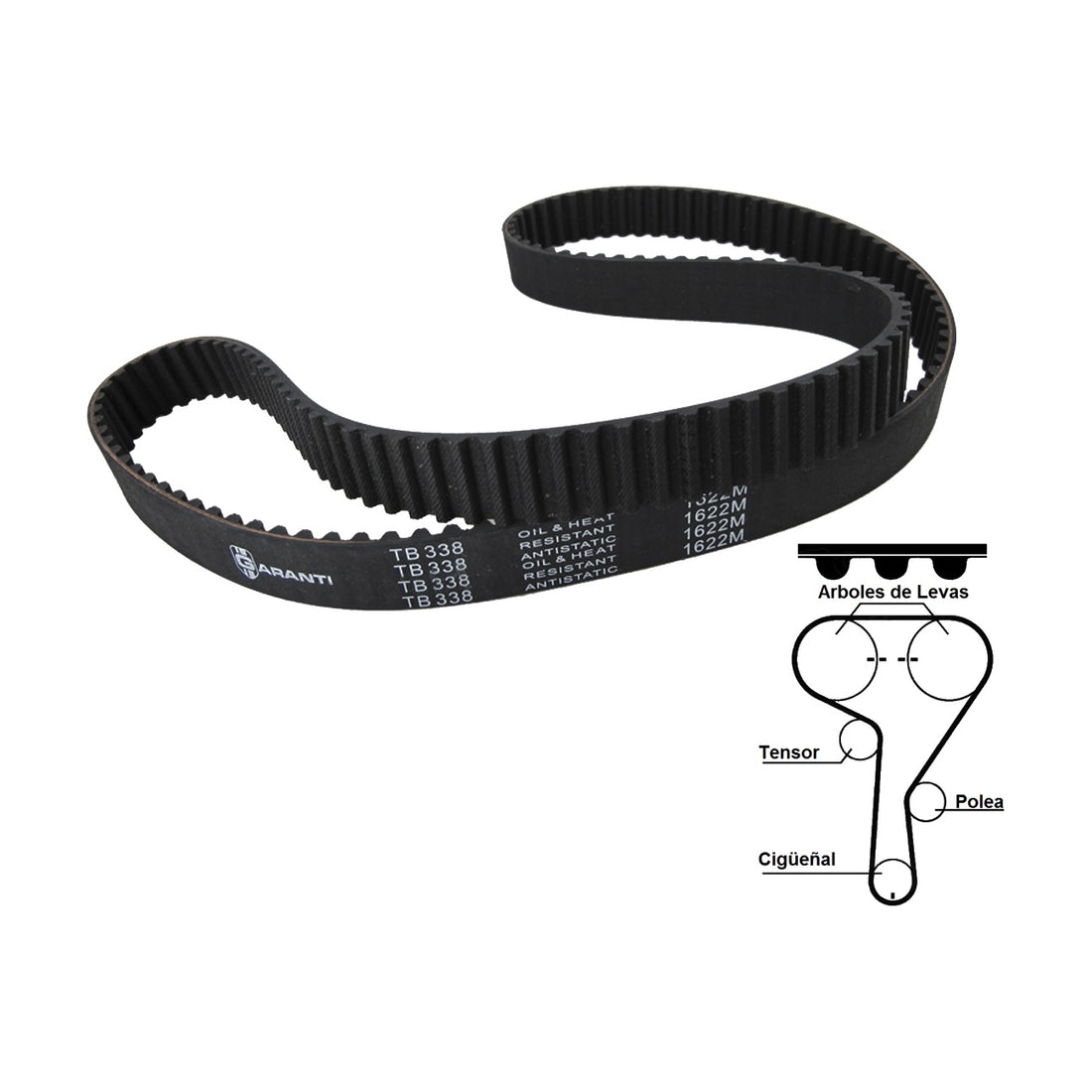 Bandas de tiempo TB338 GARANTI