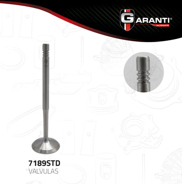 Válvula de admisión 7189STD (GARANTI)