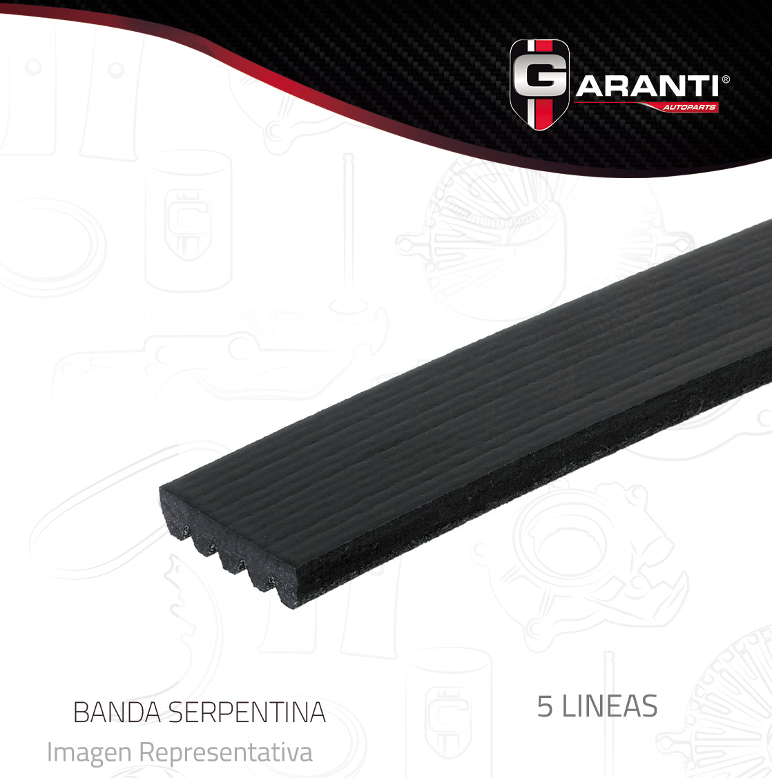 Banda Poly V Garanti 5K420