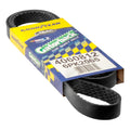 Banda ARP poly V Continental 4060812