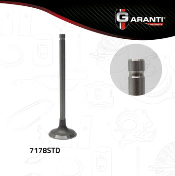Válvula de escape 7178STD (GARANTI)