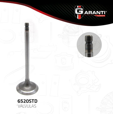 Válvula de admisión 6520STD (GARANTI)