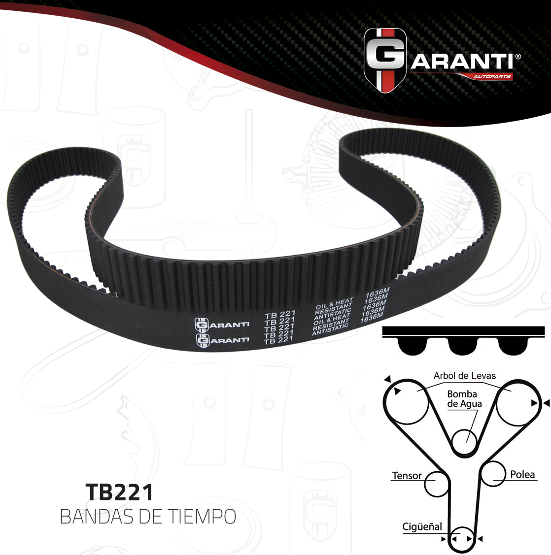 Banda Tiempo Garanti TB221