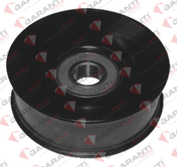 Polea accesorios 50051 (GARANTI)