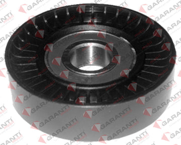 Polea accesorios 51010 (GARANTI)