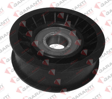 Polea accesorios 51055 (GARANTI)