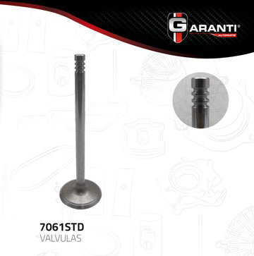 Válvula de admisión 7061STD (GARANTI)