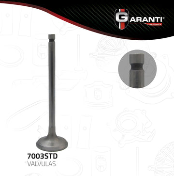 Válvula de admisión 7003STD (GARANTI)