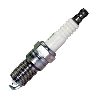Bujia Ngk TR5GP-NGK
