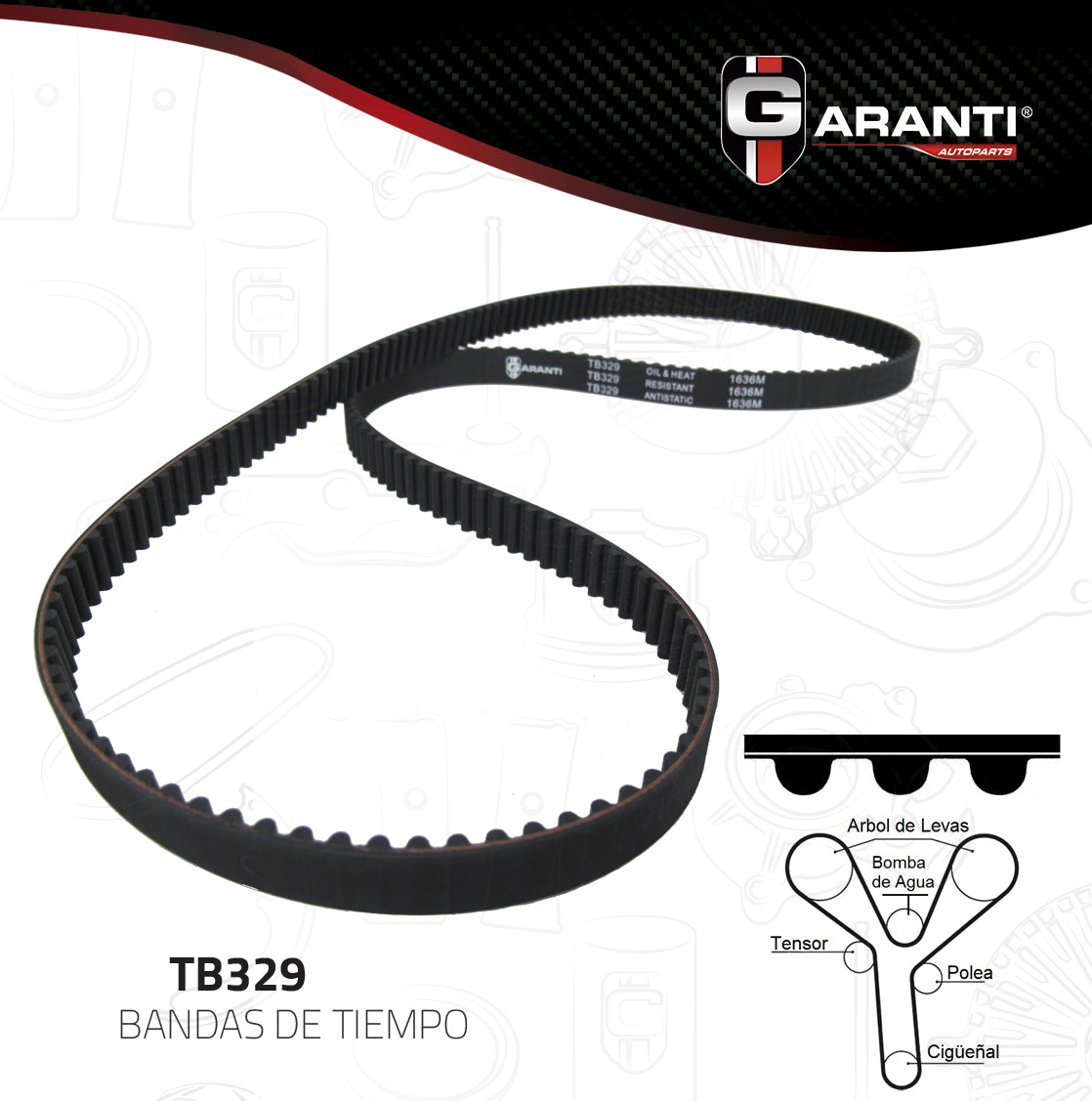 Banda Tiempo Garanti TB329