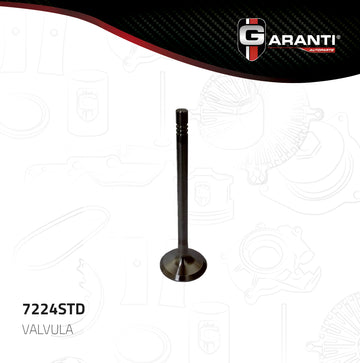 Válvula de escape 7224STD (GARANTI)