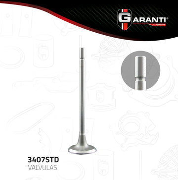 Válvula de escape 3407STD (GARANTI)