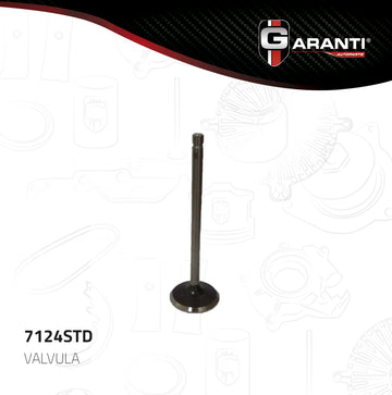 Válvula de escape 7124STD (GARANTI)
