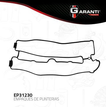 Empaque Punterias Garanti EP31230