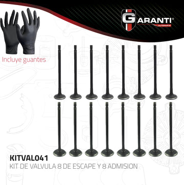 Válvula de escape KITVAL041 (GARANTI)