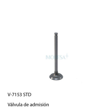Válvula de admisión V-7153-STD (MORESA)