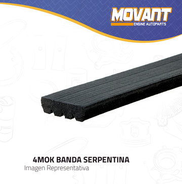 Banda Poly V Continental 4030250S-B