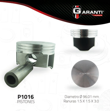 Pistones P1016-030 (GARANTI)