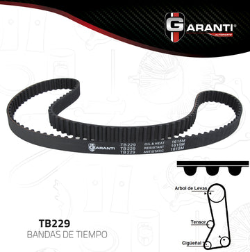 Banda Tiempo Garanti TB229