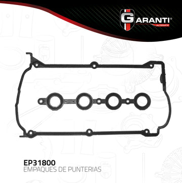 Empaque Punterias Garanti EP31800