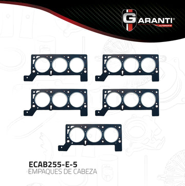 Empaque Cabeza Garanti ECAB255-E-5