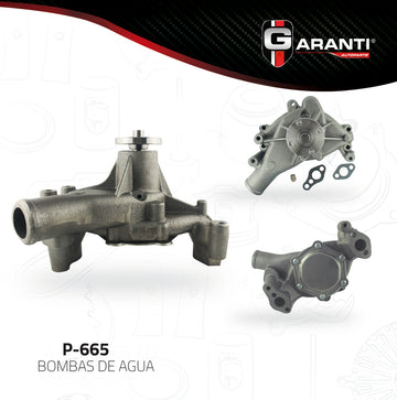 Bomba de agua Garanti P-665