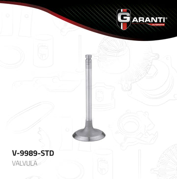 Válvula de admisión V-9989-STD (MORESA)