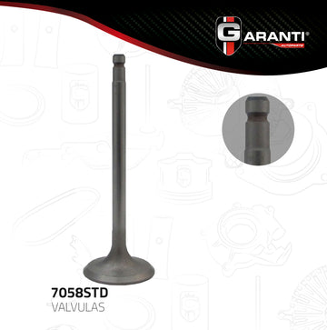 Válvula de escape 7058STD (GARANTI)