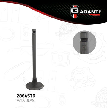 Válvula de admisión 2864STD (GARANTI)