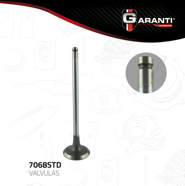 Válvula de escape 7068STD (GARANTI)