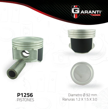Pistones P1256-020 (GARANTI)