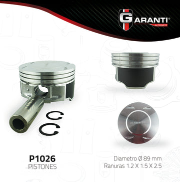 Pistones P1026-020 (GARANTI)
